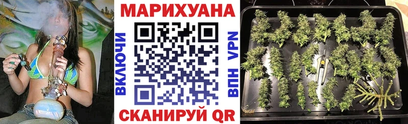 МАРИХУАНА SATIVA & INDICA  закладки  Пересвет 